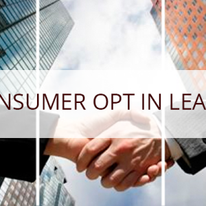 consumer opt in leads