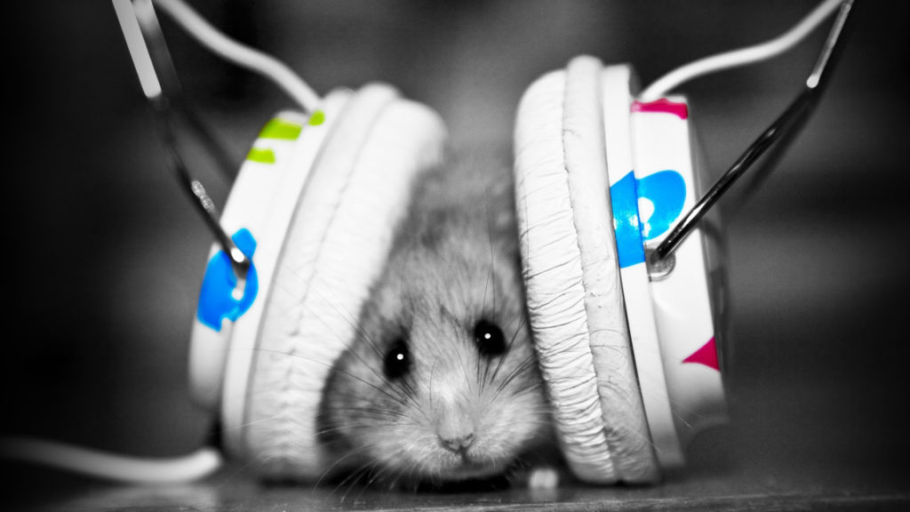 Wallpaper Wiki Free Music Wallpapers Hd Amazing Desktop Pic Wpe0012856