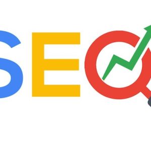SEO LIVE TRANSFER LEADS